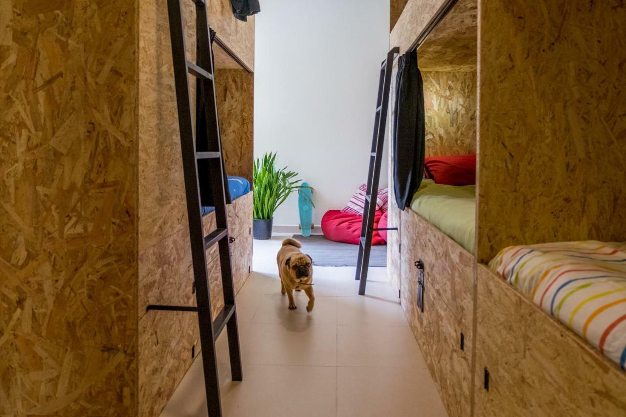Algarve Surf Hostel - 拉哥斯 外观 照片